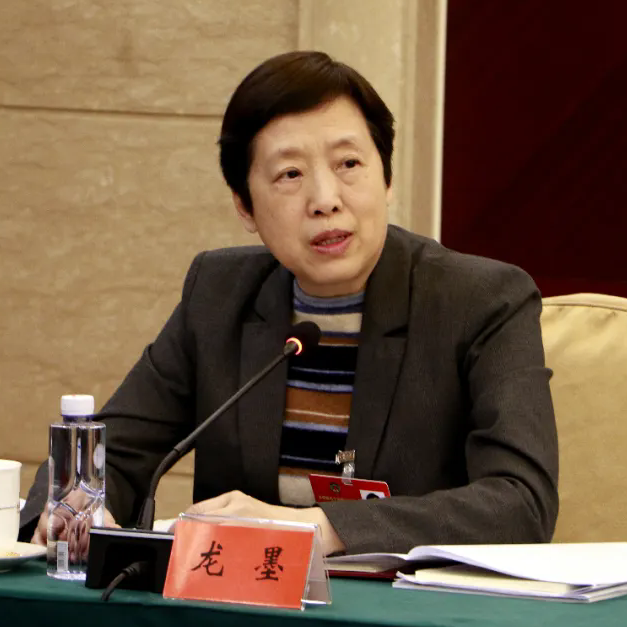 龙墨委员：努力续写更多属于残疾人的幸福故事