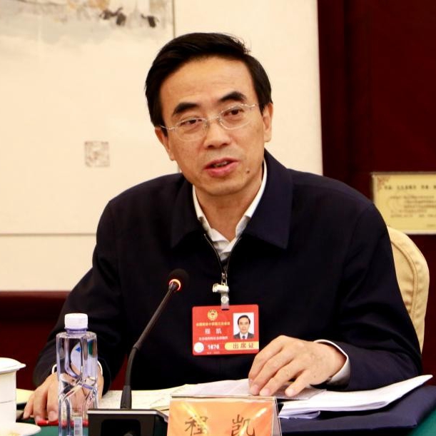 全国政协常委程凯：促进残疾人权益保护