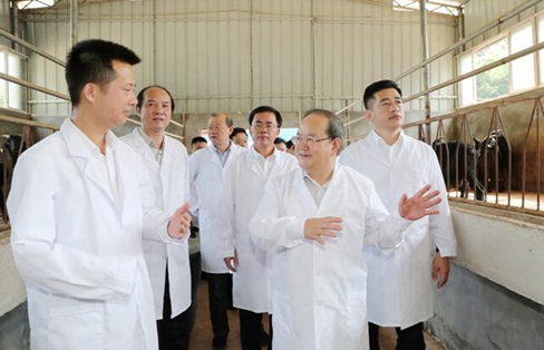 QQ截图20190701100914.jpg