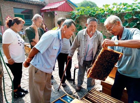 请专家到培训蜂农培训2_副本.jpg