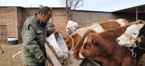 微信图片_20200413144401.jpg