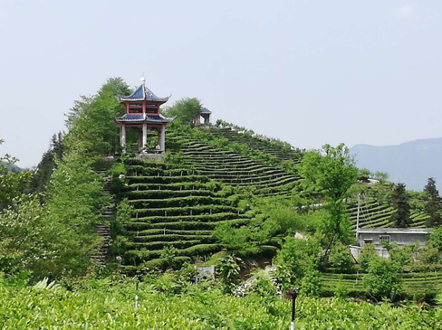 微信图片_20200414150330.png