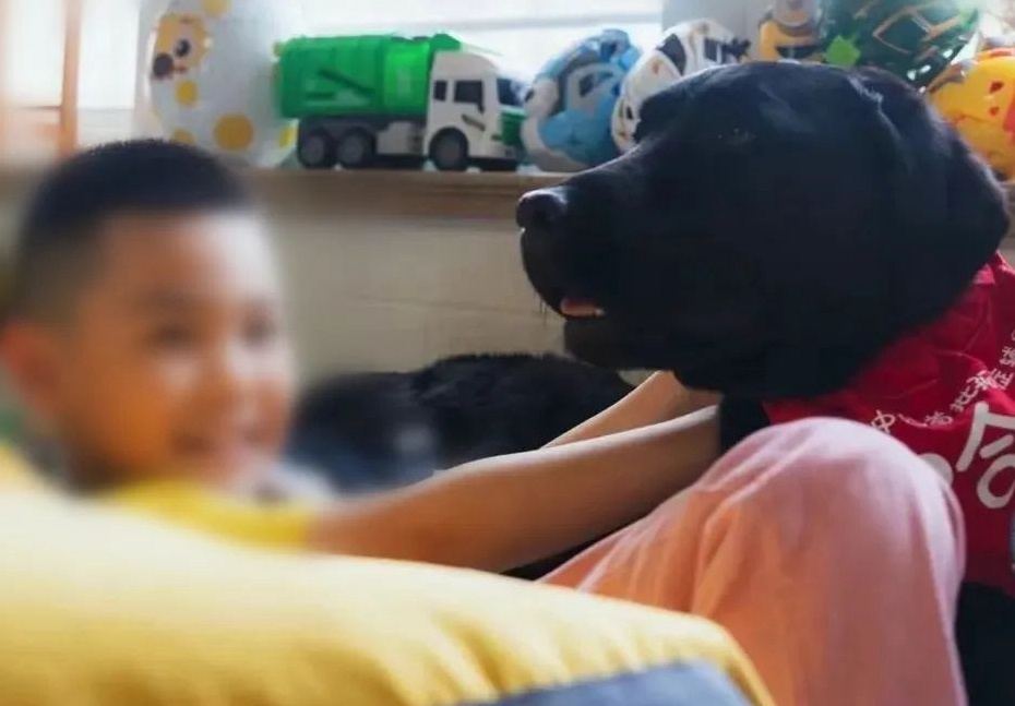 1084703375d44f5ba003133b08384092~tplv-tt-origin-web_gif.jpeg